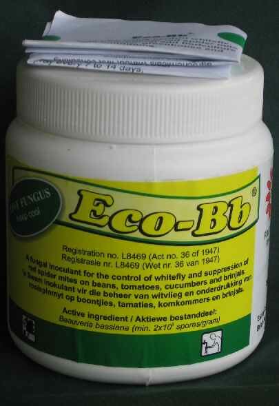 Eco-Bb; Control of whitefly and red spider mite