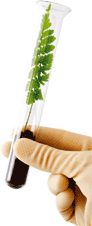 Biological control products for crop protection