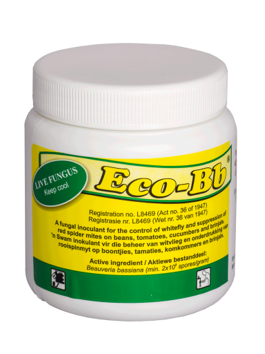 Eco-Bb Biopesticide - Fungal Innoculant for the control of White fly and the suppression of Spider mites on Beans, tomatoes, Cucumbers and Brinjals